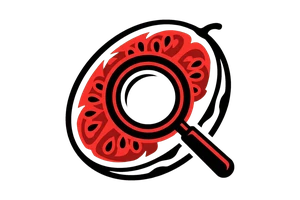 乐玩体育 - 吃瓜社Logo